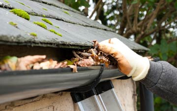 gutter cleaning Balcathie, Angus
