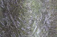 Balcathie fibreglass roof work